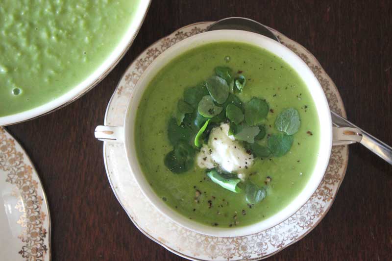 Minted pea soup with goat cheese and watercress recipe | Veggie Mama