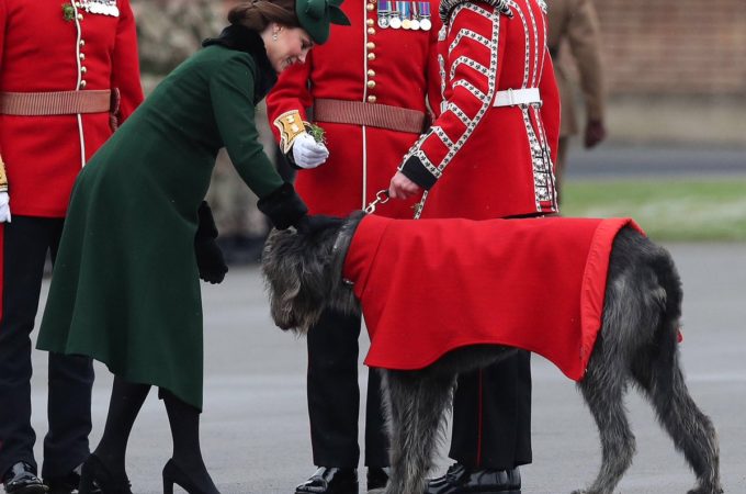 Duchess of Cambridge presenting shamrock to the Irish Guards on St Patrick's Day